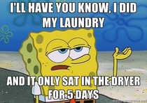 Doing laundry as a single -something guy