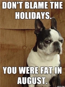 Dont Blame the Holidays