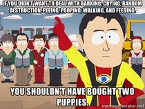 Dont buy an animal and get mad at it for behaving like an animal