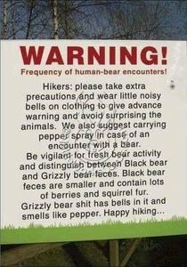 DONT FEED THE BEARS