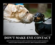 Dont Make eye contact 
