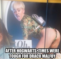 Draco Malfoy Having Hard Times