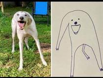 Drawing in my mind vs result on paper