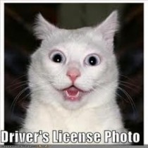 Drivers license photo