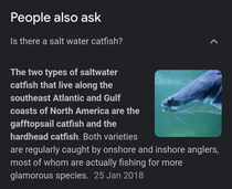 Dunno what saltwater catfish did to deserve that