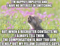 Each time an IT recruiter contacts me