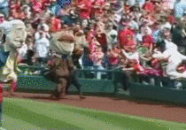 Easter Bunny Takes Out  Racing Presidents