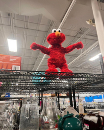 Elmo says Fuck around and find out