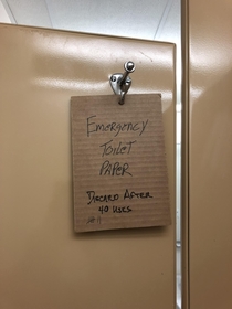 Emergency Toilet Paper