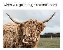 Emo phase