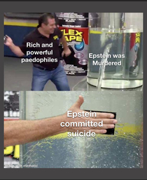Epstein didnt kill him self