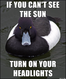 Especially if your car is a dark color