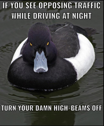 Especially in well lit residential areas
