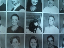 Even a cat can go to high school now THATS equality