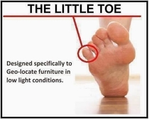 Even the little toe has a purpose