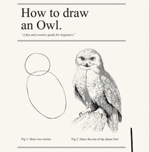 Every drawing tutorial ever