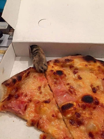 Every wondered what those holes in pizza boxes are for