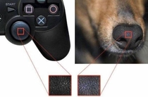 Every year  doggos are killed to make playstation controllers