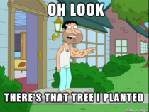 Everyone after PornHubs arbor day promotion