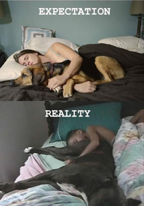 Expectation - But Reality