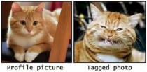 Facebook profile vs tagged photos 