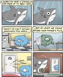 Fish are friends not food 