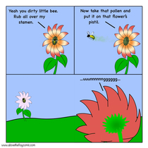 Flower sex explained