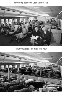 Flying economy in 