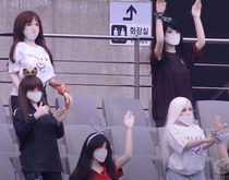 Football soccer club FC Seoul accidentally used sx dolls as makeshift fans instead of mannequinsThe club has apologised