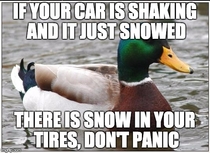 For all the drivers out there new to snowstorms - your car is probably okay a quick check can save you time and money from unscrupulous mechanics