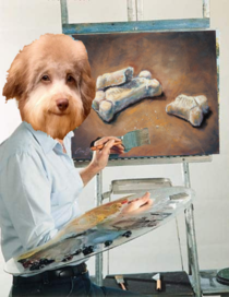 For the dog that looks like Bob Ross 