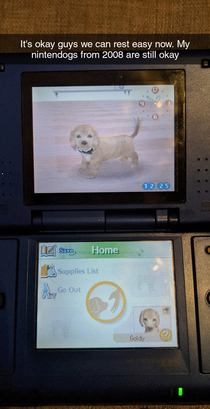 Forgetting your Nintendogs