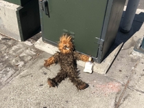 Found Chewy in San Francisco Hes hit rock bottom