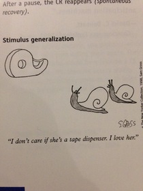 Found in my friends psychology textbook