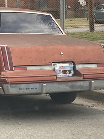 Found this car in downtown Nashville today that had expired tags And the owner decided to hide it by placing an empty box of Little Debbie Swiss Rolls in front of it