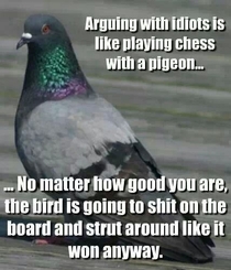 Found this gem and made me realize arguing on reddit is pointless because
