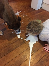 Found  yr old cleaning up the milk he spiltwith the dog