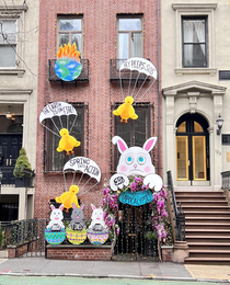 four bunnies of the apocalypse found in nyc