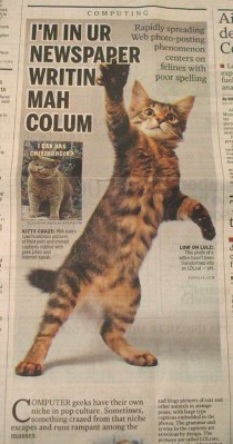 Frisky feline takes over newspaper spread paper describes LOLCats as felines with poor spelling
