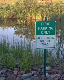 Frog parking