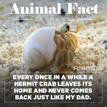 Fun animal fact