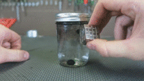 Fun with magnets and Ferrofluid
