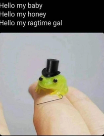 gentleman frog