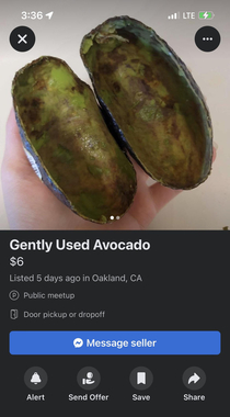 Gently Used Avocado