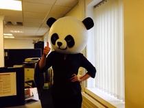 GF sent me this Shes the new Sexual Harassment Panda for her company