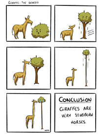Giraffes the genesis