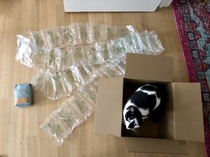 God forbid my coffee be damaged in transit Thanks Amazon Cat for scale