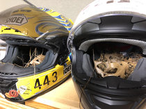 Going to the track today but found that two nesting birds had more important plans for my helmets