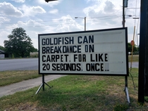 Goldfish got moves