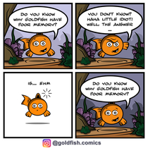 Goldfish memory 